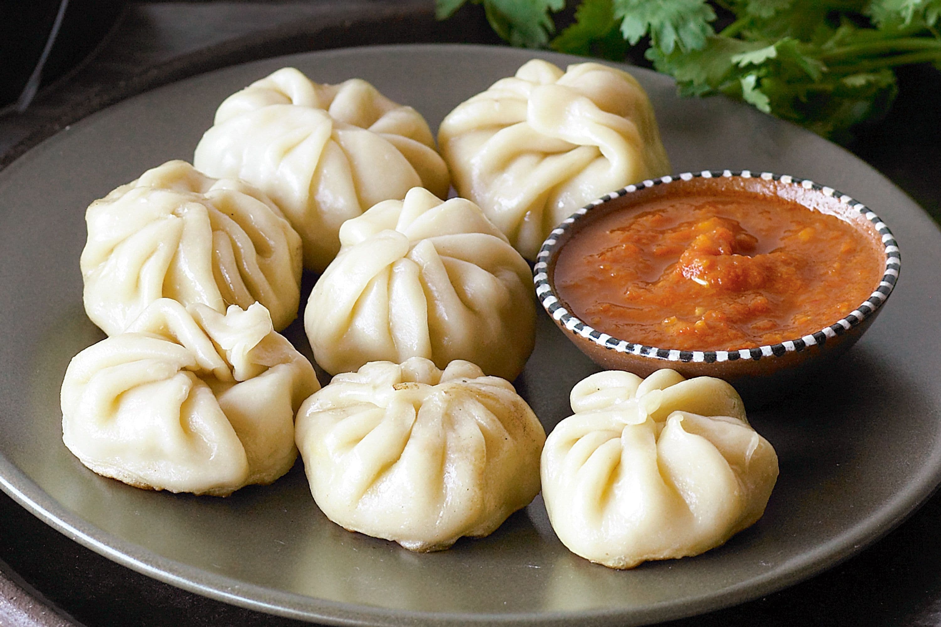 Veg Steam Momo - wholesale quality product